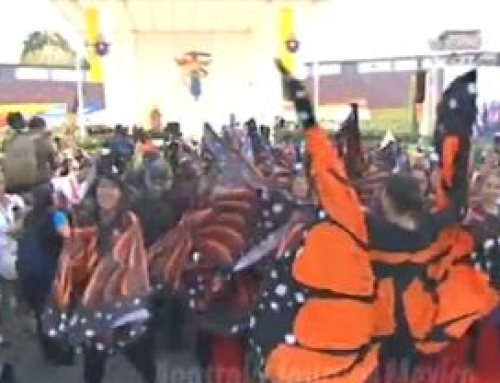 The Colorful Extravagance of the Pope’s Mexican Visit