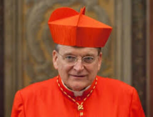 Cardinal Burke Resigns from Dignitatis Humanae Foundation